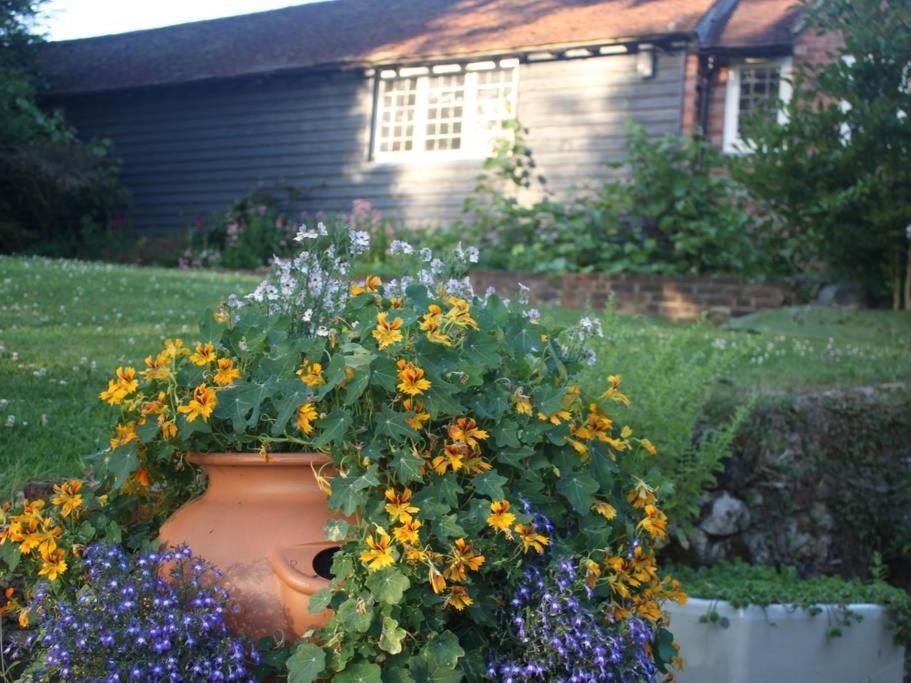 Apartamento Oak House Farm Edenbridge Exterior foto